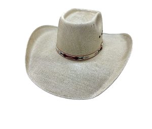American Bulls / EC990 Amazon